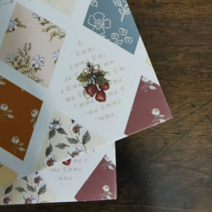Carnet Jane Austen - édition 250e anniversaire